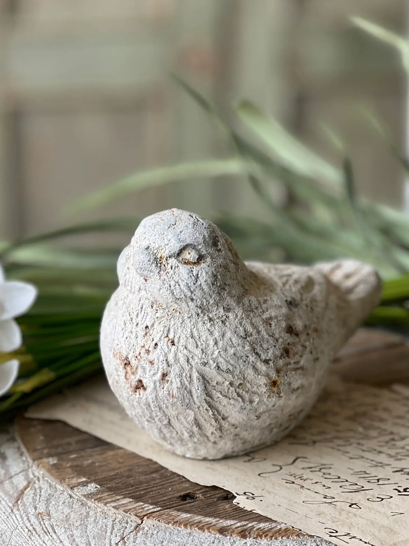 Rustic Wren