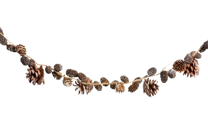 Frosted Mixed Pinecone Garland