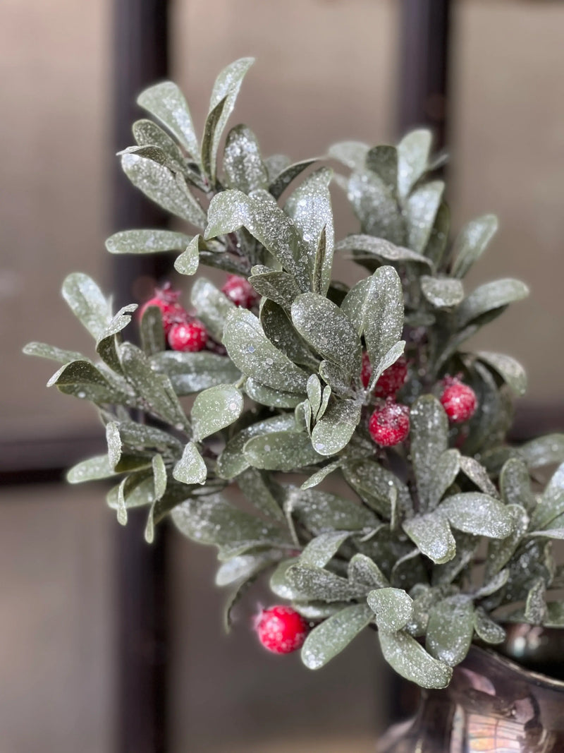 Crystalline Mistleberry Bush