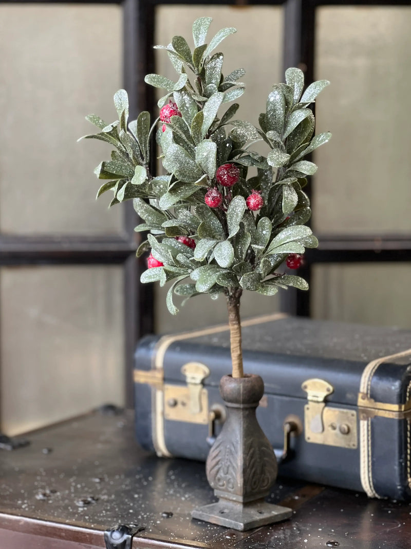 Crystalline Mistleberry Bush