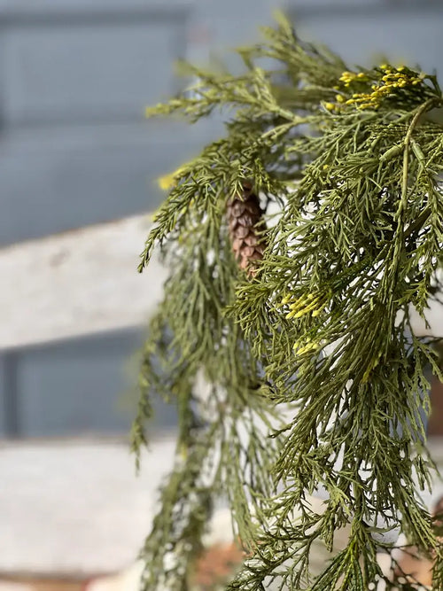 Alpine Cedar Hanging Bush