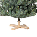 5.5' Blue Spruce Christmas Tree