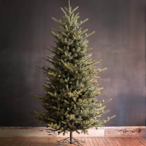 10' Blue Spruce Christmas Tree