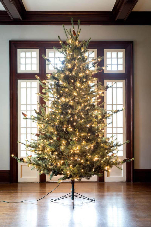 9' Blue Spruce Christmas Tree