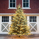 12' Blue Spruce Christmas Tree