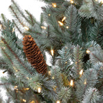 7.5' Blue Spruce Christmas Tree