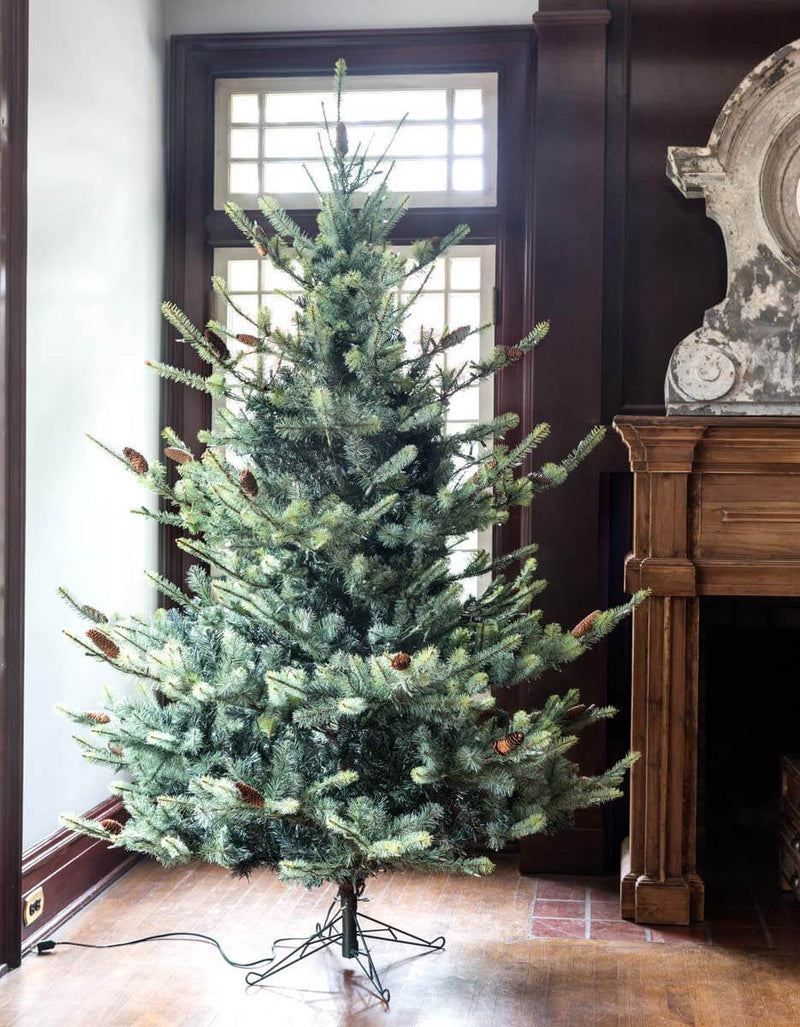7.5' Blue Spruce Christmas Tree