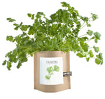Cilantro - Garden In A Bag