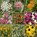 Butterfly - Garden Sprinkles