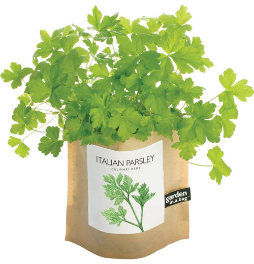 Italian Parsley - Garden In A Bag