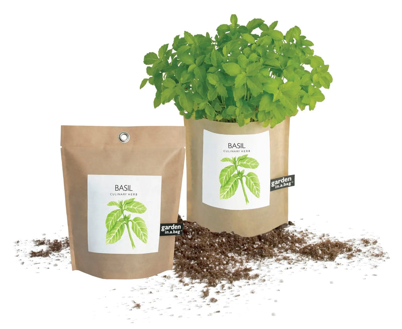 Basil - Garden In A Bag