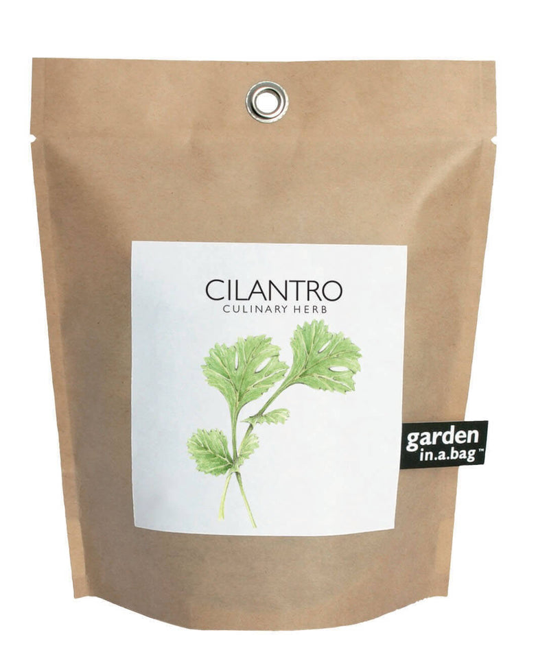 Cilantro - Garden In A Bag