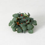 Eucalyptus Berry Collection