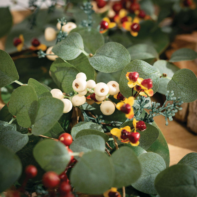 Eucalyptus Berry Collection