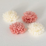 Blooming Chrysanthemum Flower Candle Set