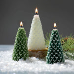 Pine Tree Candle Set