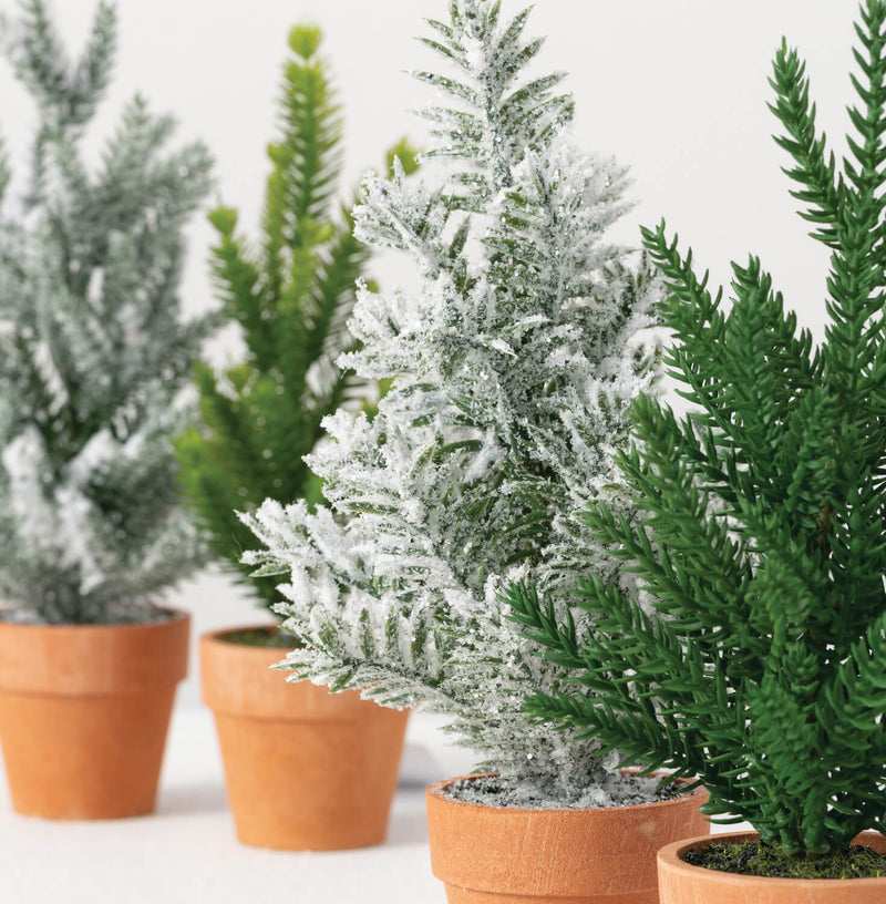 Mini Tabletop Potted Tree