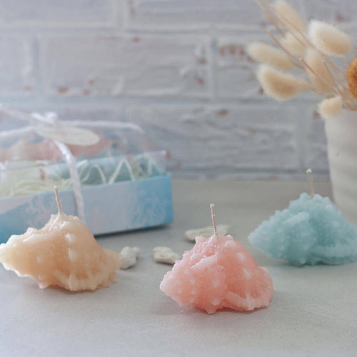Conch Votive Candle Set