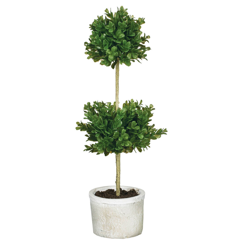 Boxwood Topiary