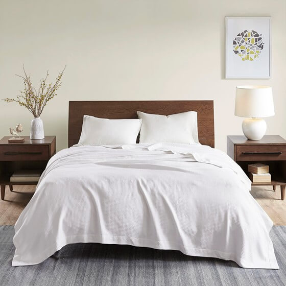 Madison Park Egyptian Cotton Blanket