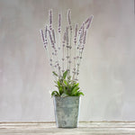 Lavender Bucket Primitives By Kathy