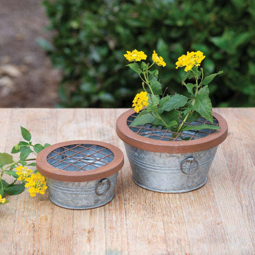Flower Frog Pails Ctw Home