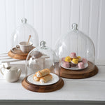 Glass Bell Shaped Cloche with Wood Base Ctw Home