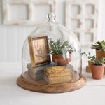 Glass Bell Shaped Cloche with Wood Base Ctw Home