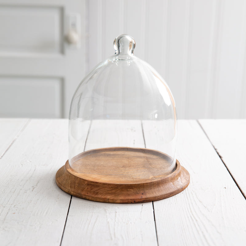 Glass Bell Shaped Cloche with Wood Base Ctw Home