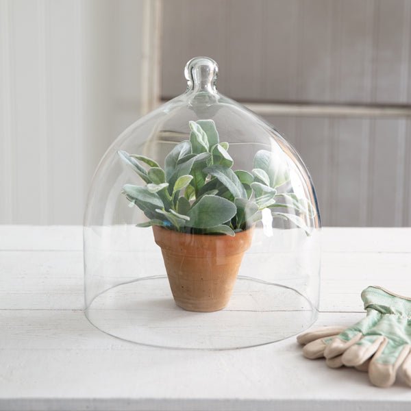 Glass Bell Shaped Cloche - Vintage Crossroads