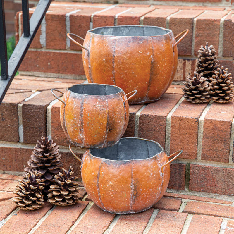 Rustic Metal Pumpkin Containers Ctw Home