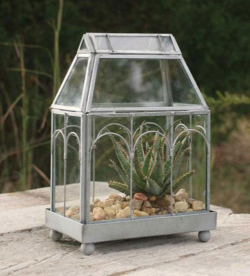Archway Glass Terrarium Ctw Home