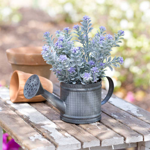 Mini Watering Can Ctw Home
