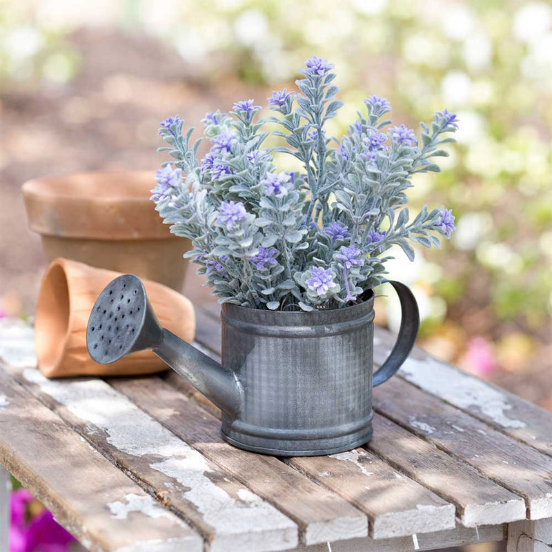 Mini Watering Can Ctw Home