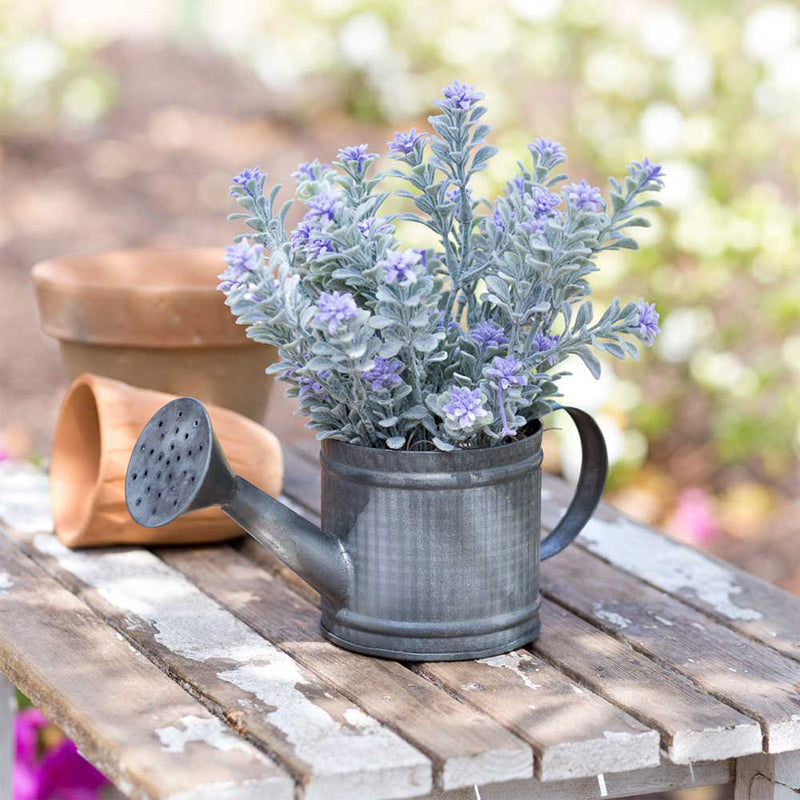 small metal watering can for indoor plants Mini Watering Can
