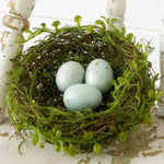 Decorative Robin's Egg Nest