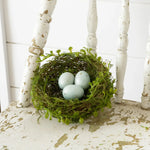 Decorative Robin's Egg Nest