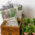 Fresh Herbs Collection