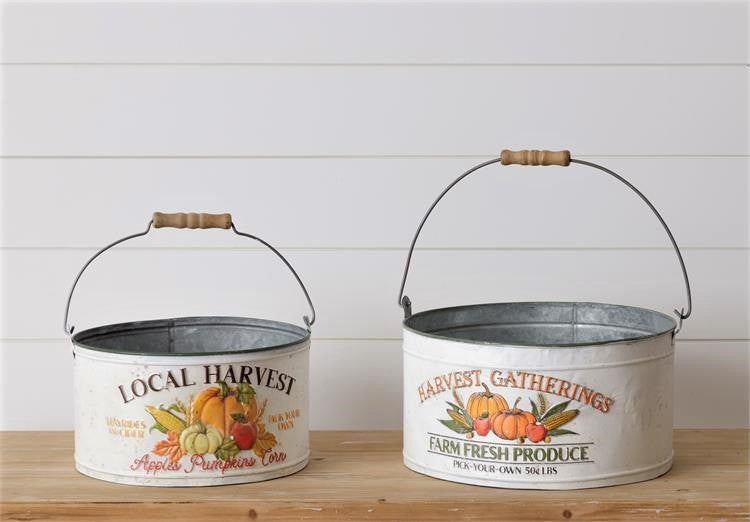 Harvest Gathering Buckets Audrey's