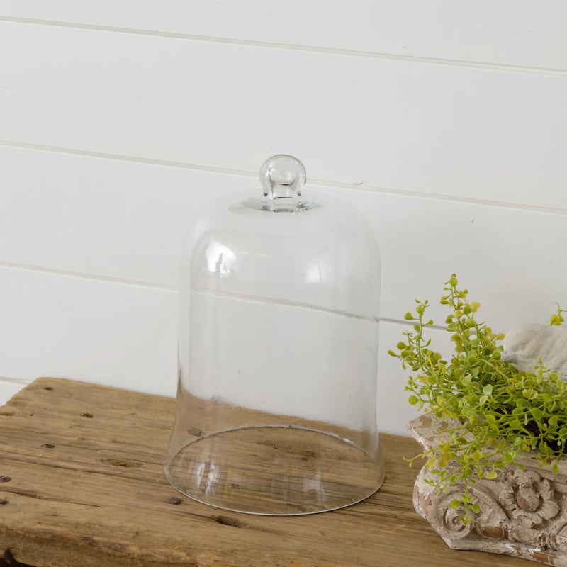glass cloche for indoor plants Glass Cloche for Elegant Home Decor