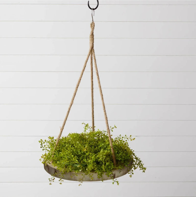 Wood Tray