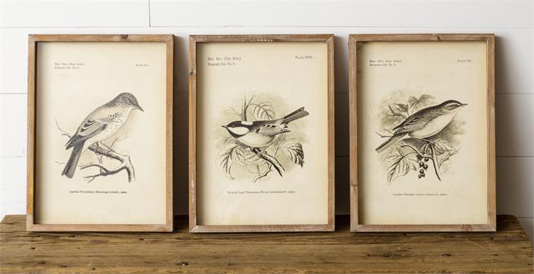 Framed Vintage Style Birds Print Audrey's