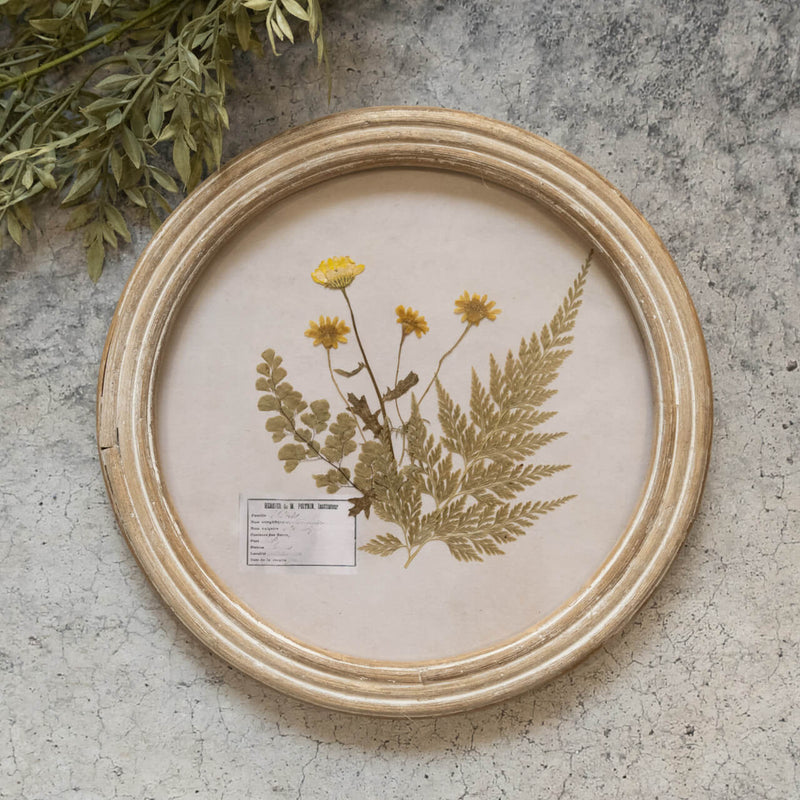 Round Pressed Foliage Wall Frame