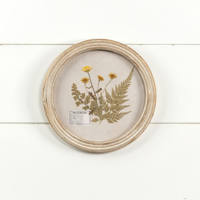 Round Pressed Foliage Wall Frame