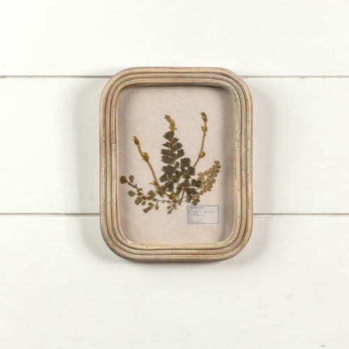 Rectangular Pressed Foliage Wall Frame