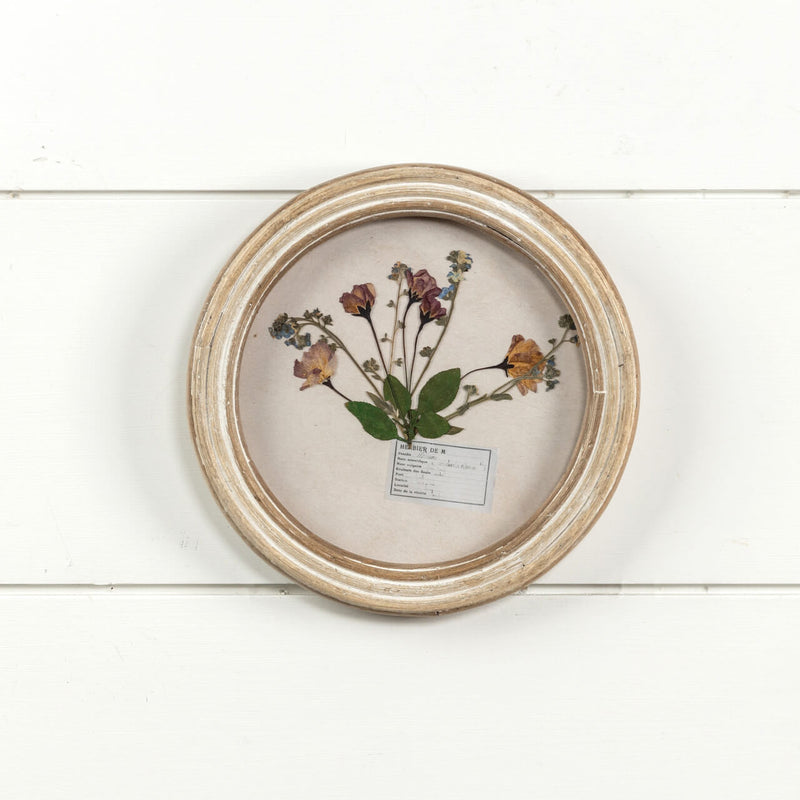 Round Pressed Floral Wall Frame