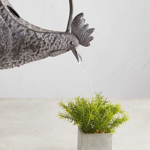 Rooster Watering Can