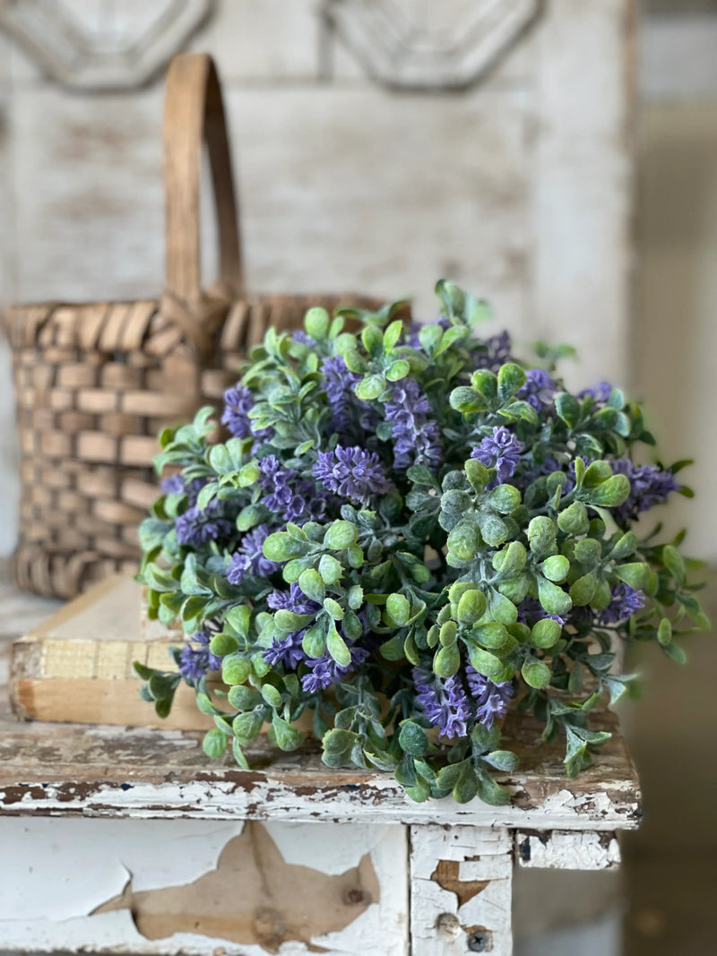 Purple Sage Boxwood Half Sphere