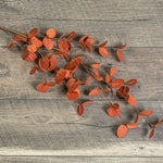 Rust Eucalyptus Spray Ragon House