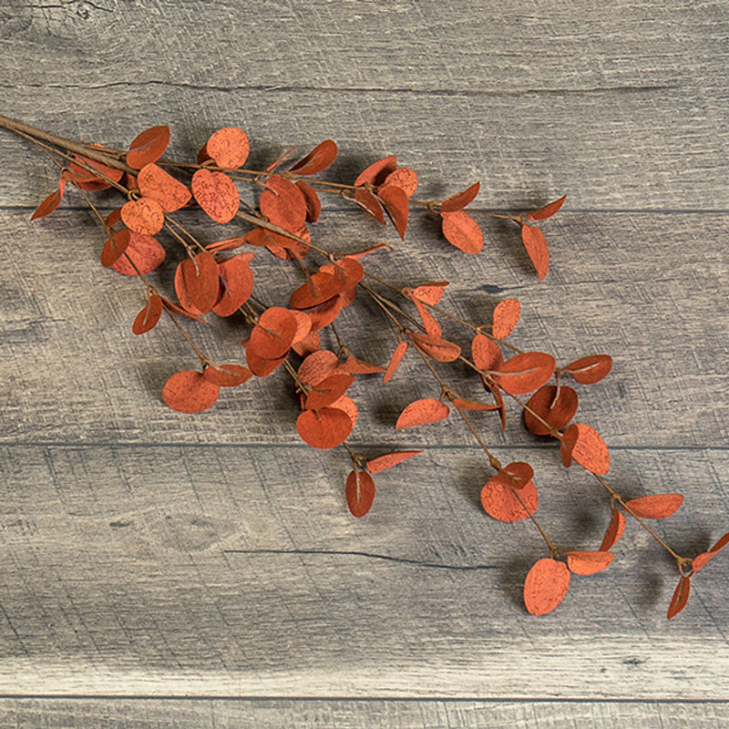 Rust Eucalyptus Spray Ragon House